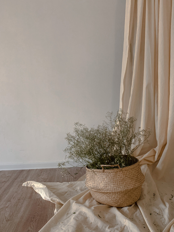 Plant in a Woven Basket